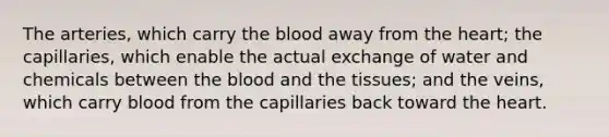 The arteries, which carry the blood away from the heart; the capillaries, which enable the actual exchange of water and chemicals between the blood and the tissues; and the veins, which carry blood from the capillaries back toward the heart.