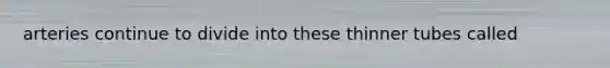 arteries continue to divide into these thinner tubes called