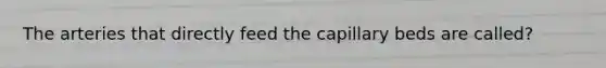 The arteries that directly feed the capillary beds are called?