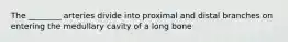 The ________ arteries divide into proximal and distal branches on entering the medullary cavity of a long bone