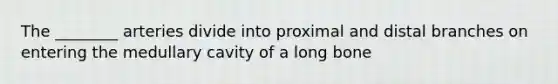 The ________ arteries divide into proximal and distal branches on entering the medullary cavity of a long bone