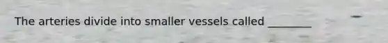 The arteries divide into smaller vessels called ________