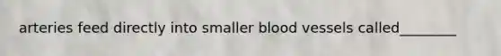 arteries feed directly into smaller blood vessels called________