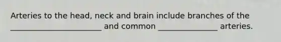 Arteries to the head, neck and brain include branches of the _______________________ and common _______________ arteries.