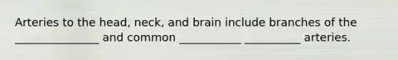 Arteries to the head, neck, and brain include branches of the _______________ and common ___________ __________ arteries.