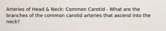 Arteries of Head & Neck: Common Carotid - What are the branches of the common carotid arteries that ascend into the neck?