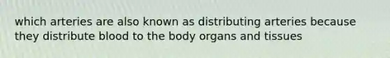 which arteries are also known as distributing arteries because they distribute blood to the body organs and tissues