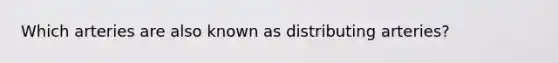 Which arteries are also known as distributing arteries?