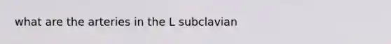 what are the arteries in the L subclavian