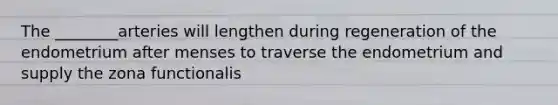The ________arteries will lengthen during regeneration of the endometrium after menses to traverse the endometrium and supply the zona functionalis