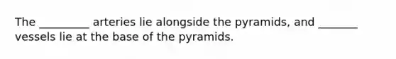 The _________ arteries lie alongside the pyramids, and _______ vessels lie at the base of the pyramids.