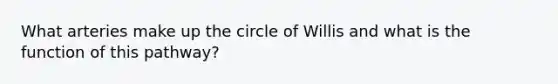 What arteries make up the circle of Willis and what is the function of this pathway?