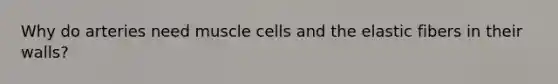 Why do arteries need muscle cells and the elastic fibers in their walls?