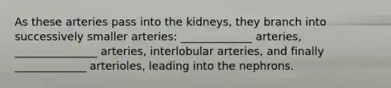 As these arteries pass into the kidneys, they branch into successively smaller arteries: _____________ arteries, _______________ arteries, interlobular arteries, and finally _____________ arterioles, leading into the nephrons.