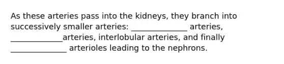 As these arteries pass into the kidneys, they branch into successively smaller arteries: ______________ arteries, _____________arteries, interlobular arteries, and finally ______________ arterioles leading to the nephrons.