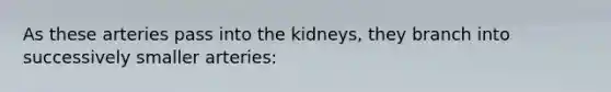 As these arteries pass into the kidneys, they branch into successively smaller arteries: