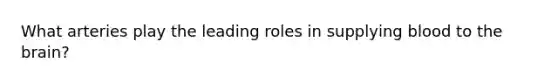 What arteries play the leading roles in supplying blood to the brain?