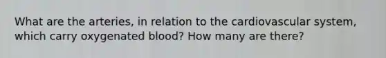 What are the arteries, in relation to the cardiovascular system, which carry oxygenated blood? How many are there?