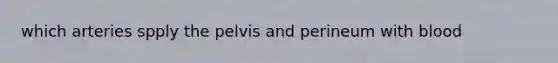 which arteries spply the pelvis and perineum with blood