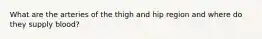 What are the arteries of the thigh and hip region and where do they supply blood?