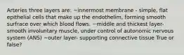 Arteries three layers are: ~innermost membrane - simple, flat epithelial cells that make up the endothelim, forming smooth surfrace over which blood flows. ~middle and thickest layer- smooth involuntary muscle, under control of autonomic nervous system (ANS) ~outer layer- supporting connective tissue True or false?