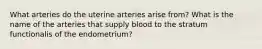 What arteries do the uterine arteries arise from? What is the name of the arteries that supply blood to the stratum functionalis of the endometrium?