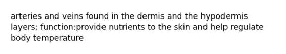 arteries and veins found in <a href='https://www.questionai.com/knowledge/kEsXbG6AwS-the-dermis' class='anchor-knowledge'>the dermis</a> and <a href='https://www.questionai.com/knowledge/ktsCAWWU5U-the-hypodermis' class='anchor-knowledge'>the hypodermis</a> layers; function:provide nutrients to the skin and help regulate body temperature