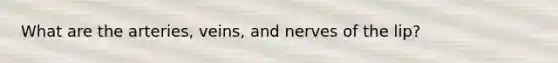 What are the arteries, veins, and nerves of the lip?