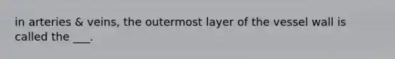 in arteries & veins, the outermost layer of the vessel wall is called the ___.