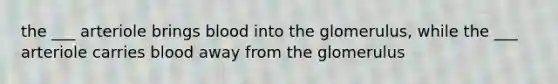 the ___ arteriole brings blood into the glomerulus, while the ___ arteriole carries blood away from the glomerulus