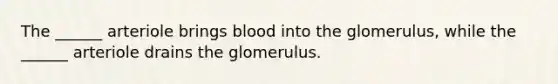 The ______ arteriole brings blood into the glomerulus, while the ______ arteriole drains the glomerulus.