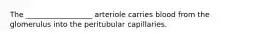 The __________________ arteriole carries blood from the glomerulus into the peritubular capillaries.