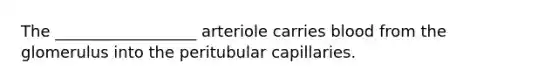 The __________________ arteriole carries blood from the glomerulus into the peritubular capillaries.