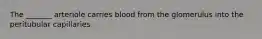 The _______ arteriole carries blood from the glomerulus into the peritubular capillaries