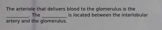 The arteriole that delivers blood to the glomerulus is the __________. The ___________ is located between the interlobular artery and the glomerulus.