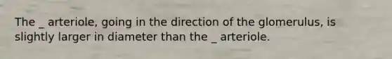 The _ arteriole, going in the direction of the glomerulus, is slightly larger in diameter than the _ arteriole.