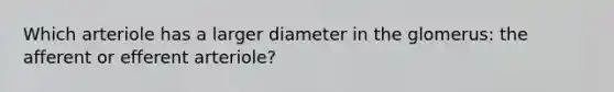 Which arteriole has a larger diameter in the glomerus: the afferent or efferent arteriole?