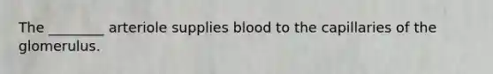 The ________ arteriole supplies blood to the capillaries of the glomerulus.