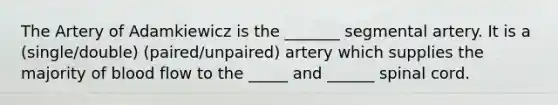 The Artery of Adamkiewicz is the _______ segmental artery. It is a (single/double) (paired/unpaired) artery which supplies the majority of blood flow to the _____ and ______ spinal cord.