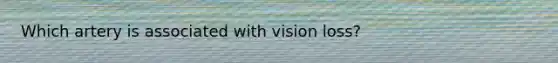 Which artery is associated with vision loss?