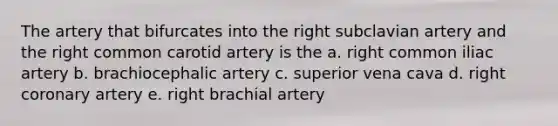 The artery that bifurcates into the right subclavian artery and the right common carotid artery is the a. right common iliac artery b. brachiocephalic artery c. superior vena cava d. right coronary artery e. right brachial artery