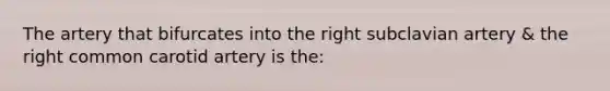 The artery that bifurcates into the right subclavian artery & the right common carotid artery is the: