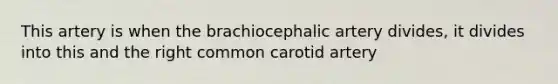 This artery is when the brachiocephalic artery divides, it divides into this and the right common carotid artery