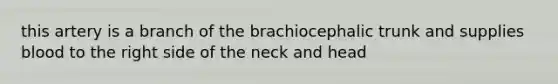 this artery is a branch of the brachiocephalic trunk and supplies blood to the right side of the neck and head