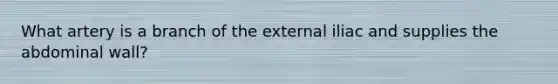 What artery is a branch of the external iliac and supplies the abdominal wall?