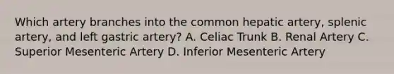 Which artery branches into the common hepatic artery, splenic artery, and left gastric artery? A. Celiac Trunk B. Renal Artery C. Superior Mesenteric Artery D. Inferior Mesenteric Artery