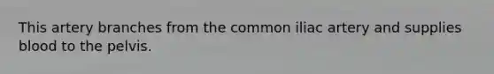 This artery branches from the common iliac artery and supplies blood to the pelvis.