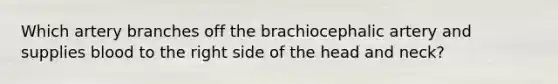 Which artery branches off the brachiocephalic artery and supplies blood to the right side of the head and neck?