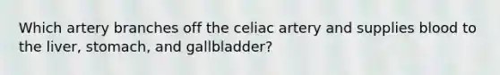 Which artery branches off the celiac artery and supplies blood to the liver, stomach, and gallbladder?