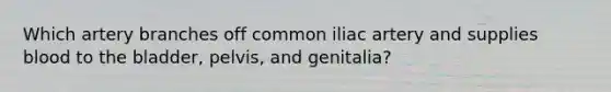 Which artery branches off common iliac artery and supplies blood to the bladder, pelvis, and genitalia?